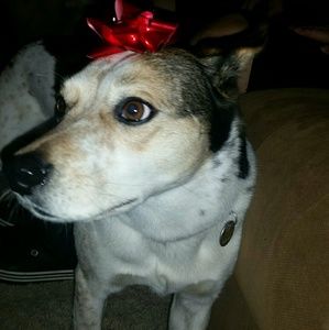 Meet your Posher, Kelley